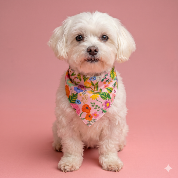 GARDEN PARTY PET BOYUNLUK BANDANA