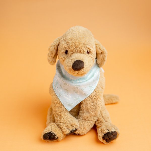 BLUE DREAM PET BOYUNLUK BANDANA