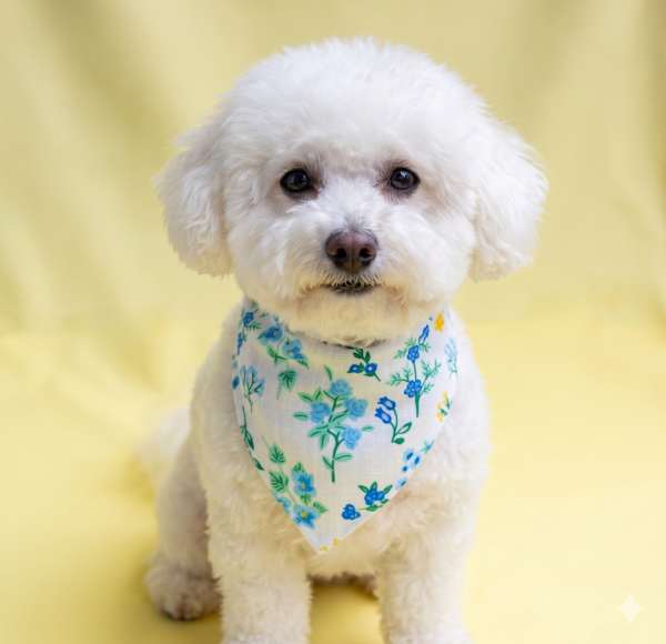 BLOOM PET BOYUNLUK BANDANA