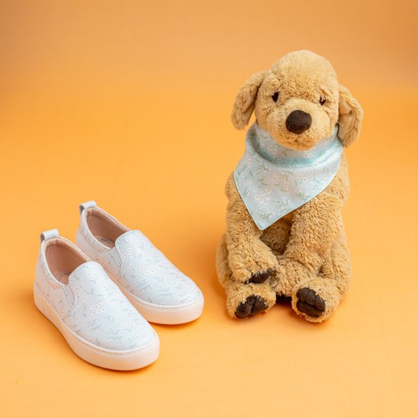 BLUE DREAM KÖPEK AYAKKABI TAKIM